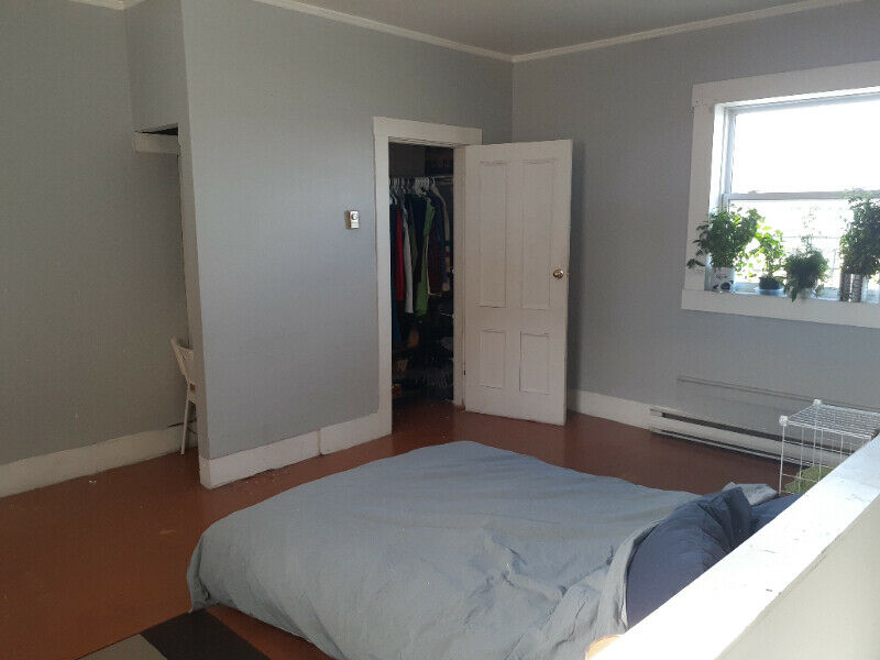 All Homes for Rent in Miramichi NB Zoeken