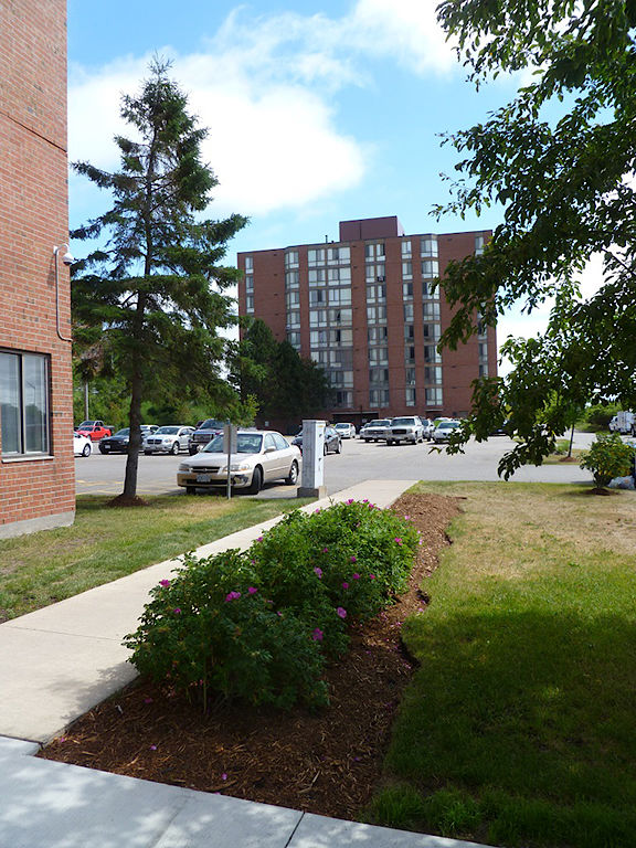 All Apartments for Rent in Sault Ste Marie ON Zoeken