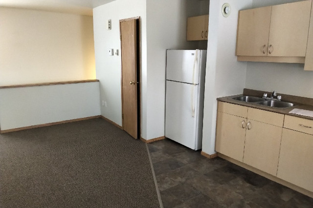 cheap apartments for rent in steinbach