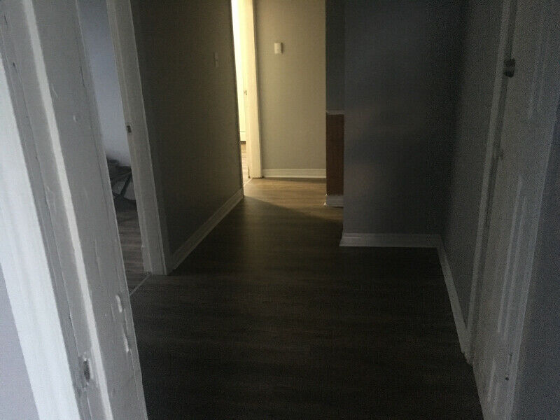 All Duplexes for Rent in Sydney NS Zoeken