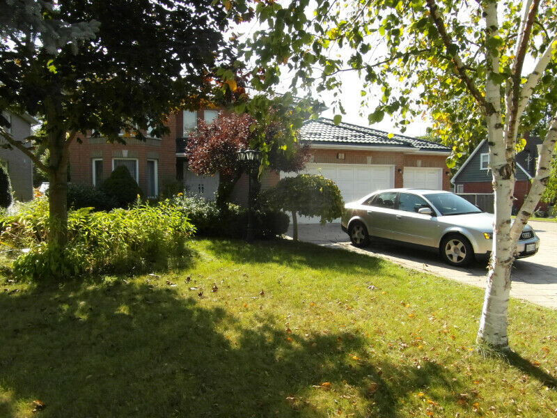 All 1 bedroom Basements for Rent in Whitby ON | Zoeken