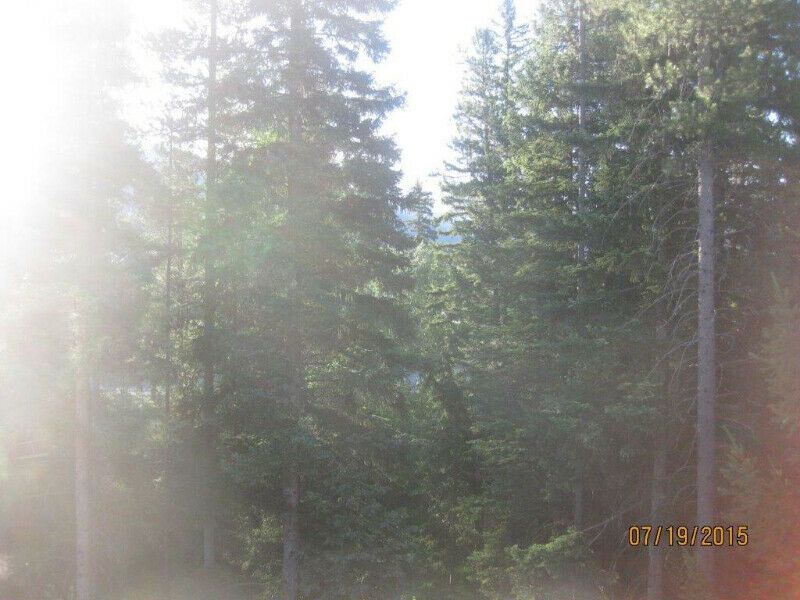 All Homes for Rent in Sparwood BC Zoeken