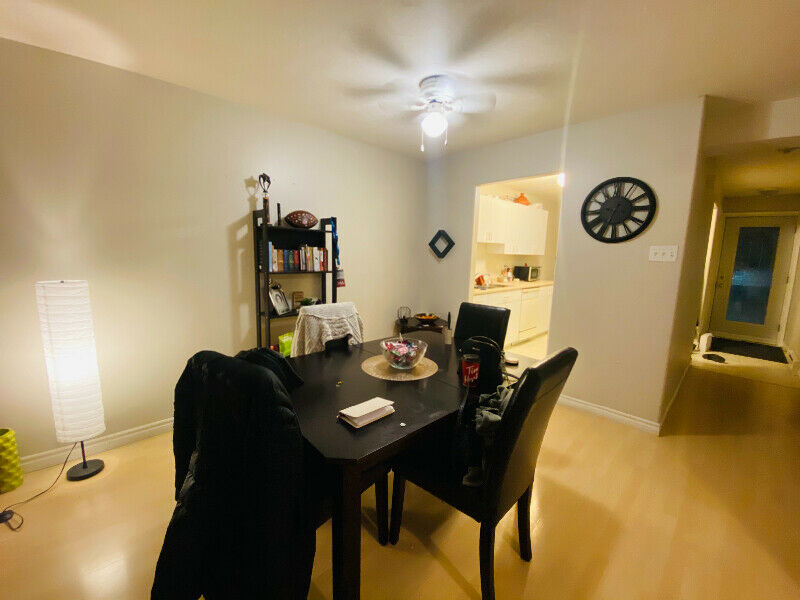 All Apartments for Rent in Sackville NB Zoeken