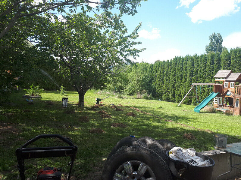 All 4 bedroom Homes for Rent in Kamloops BC Zoeken